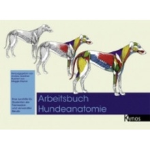 Arbeitsbuch Hundeanatomie Andrew Gardiner,Maggie Raynor
