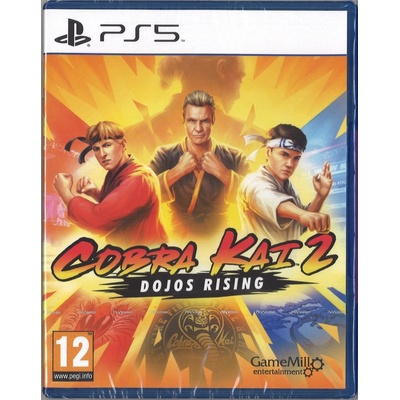 Cobra Kai 2: Dojos Rising