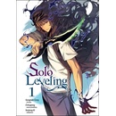 Solo Leveling