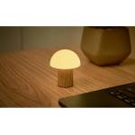 Gingko LED затъмняваща се настолна лампа от масивен ясен в естествен цвят (височина 7 cm) Alice - Gingko (G022S-AH)