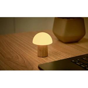 Gingko LED затъмняваща се настолна лампа от масивен ясен в естествен цвят (височина 7 cm) Alice - Gingko (G022S-AH)