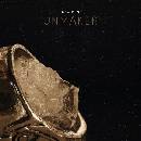 LLNN - Unmaker LP