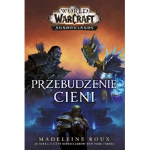 Przebudzenie cieni. World of Warcraft