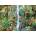 Ravensburger - Puzzle Jungle Animals - 9 000 piese