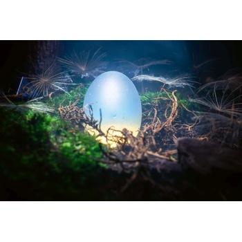 DIMEX ART s. r. o Флизелинов фототапет леговище на дракон, яйца 375 x 250 см