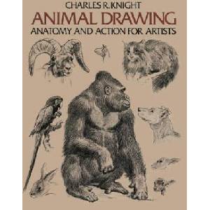 Animal Drawing | Charles R. Knight, Charles R. Knight (ISBN: 9780486204260)