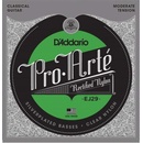 D'addario EJ29