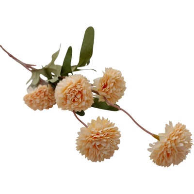 Chryzantéma mini stvol 50 cm - lososová