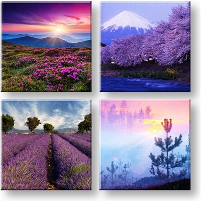 Obraz na stenu Everywhere purple - 40x40 cm