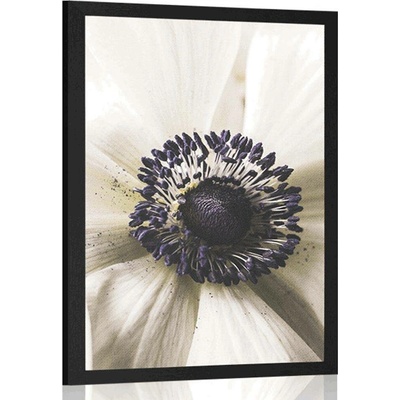 Plakát rozkvetlý květ - 40x60 white