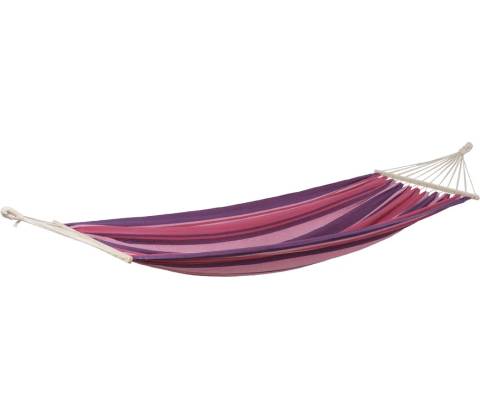 Amazonas Tonga Candy