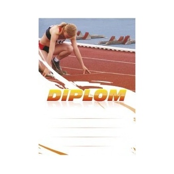 Diplom 6629