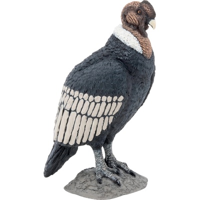 Papo Фигурка Papo Wild Animal Kingdom - Птица кондор (50293)