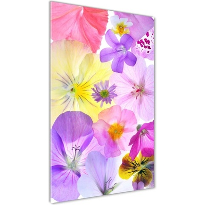 Vertikálny foto obraz sklo tvrdené Farebné kvety 50x100 cm
