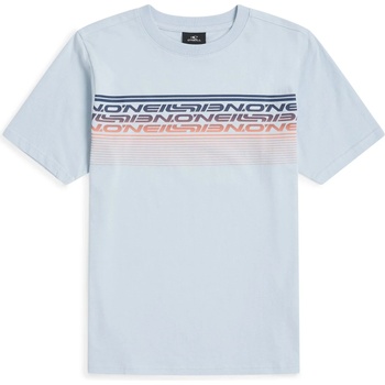 O'Neill Детска тениска O'Neill Kid's Logo Stripe T-Shirt - Spindle - размер 164 (EU) (704-6069-0215)