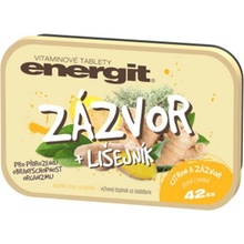 Energit Zázvor a lišejník 42 tablet