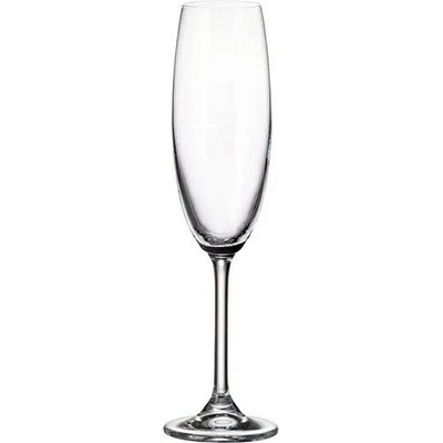 Simax Sada sklenic na šampaňské COLIBRI 220 ml
