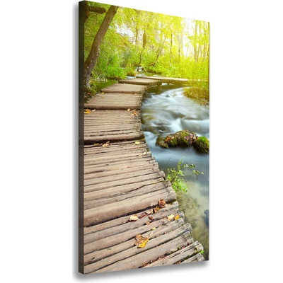 Vertikálny foto obraz na plátne Chodník v lese 50x100 cm