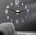 Sentop 12P035