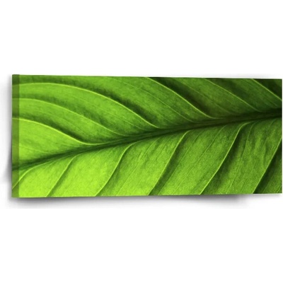 Sablio Obraz List - 110x50 cm