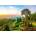 Alipson Puzzle - Puzzle Jardin sur la Colline - 1 000 piese