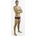 FINIS aquashort solid cabernet 34