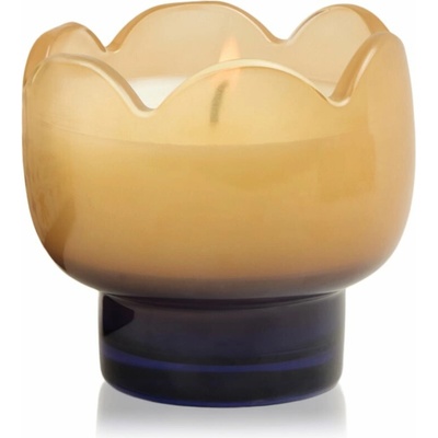 Paddywax Tulip Garden & Grove 155 g