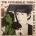 The Psychedelic Furs - Talk Talk Talk (LP) (0889854599713)