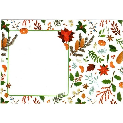 Aria Vánoční obálky 177 x 120 mm - Listy OB104