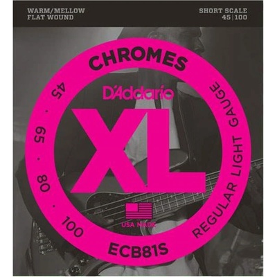 D'Addario ECB81S