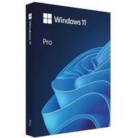 Microsoft Windows 11 Pro SK 64Bit USB, krabicová verzia, HAV-00161, nová licencia