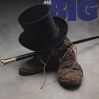 Mr Big - Mr Big (LP) (4895241436550)