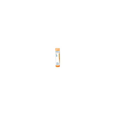 Silicea por.gra.4 g 15CH