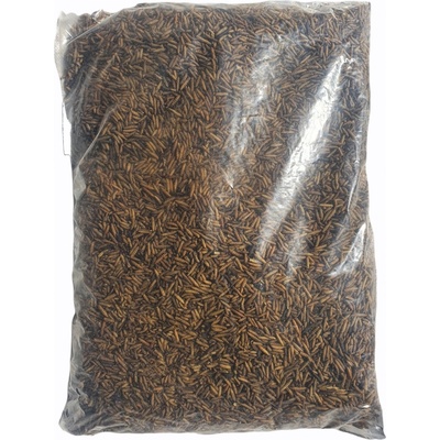 OGF larva čierneho vojaka Hermetia illucens 5 kg