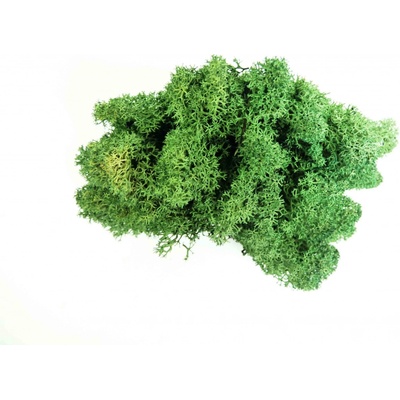 Verdissimo Stabilizovaný lišejník Island 0,5 kg (0,0625 m2), tmavě zelená