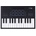 Carry-on Folding Controller 25
