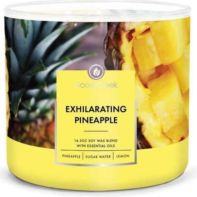 Goose Creek Candle Exhilarating Pineapple 411 g