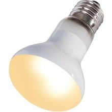 Repti Zoo Beam Spot 35 W