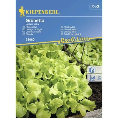Šalát listový Grünetta Kiepenkerl