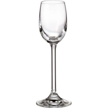 CRYSTALITE BOHEMIA BOHEMIA COLIBRI POHÁR NA LIKÉR 6 x 65 ml