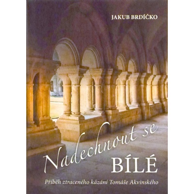 Naechnout se bílé - Příběh ztraceného kázání Tomáše Akvinského - Brdíčko Jakub