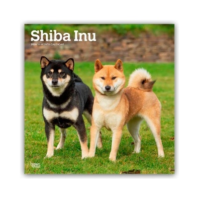 Shiba Inu Shiba 16-Monats 2026