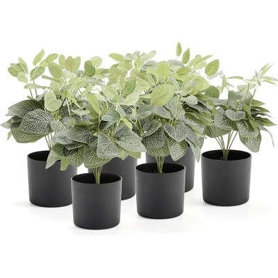 Umělá rostlina EVERGREEN, fitónie, výška 380 mm, 6 ks