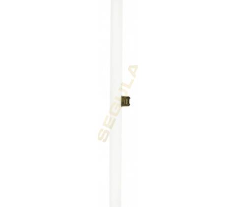 Segula 55098