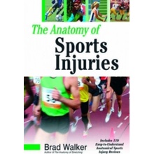 Anatomy of Sports Injuries