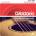 D'Addario EJ24