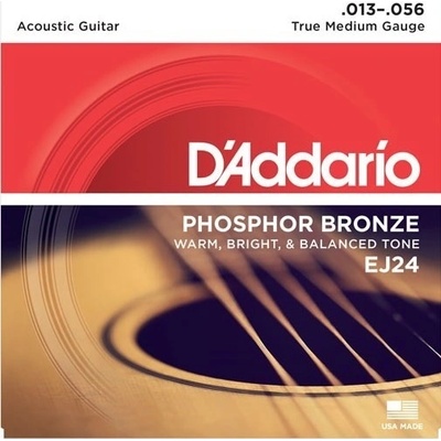 D'Addario EJ24