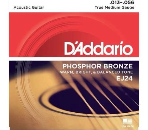 D'Addario EJ24