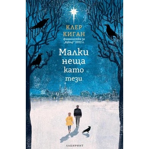 Малки неща като тези (ISBN: 9786197670172)