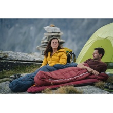 Patizon D 590